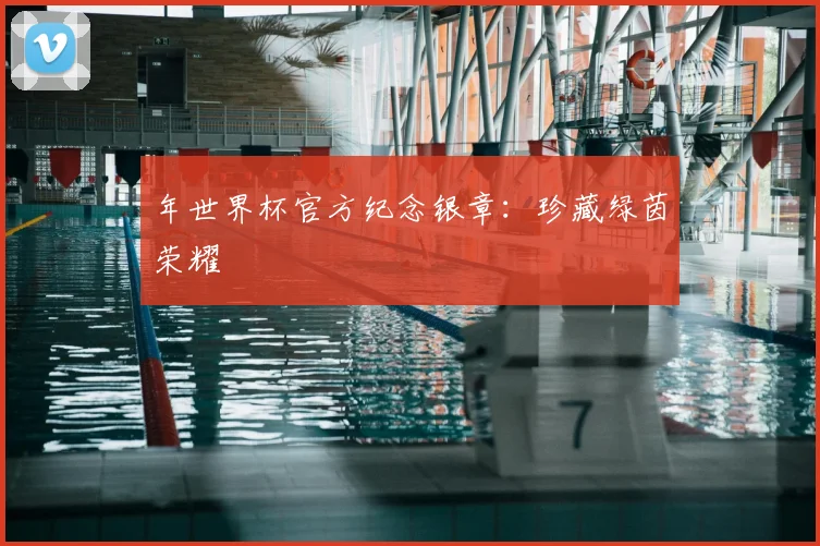 年世界杯官方纪念银章:珍藏绿茵荣耀