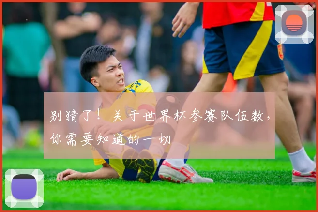 别猜了!关于世界杯参赛队伍数,你需要知道的一切