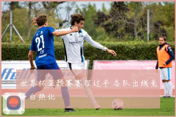 世界杯亚预赛赛程过半 各队出线竞争白热化