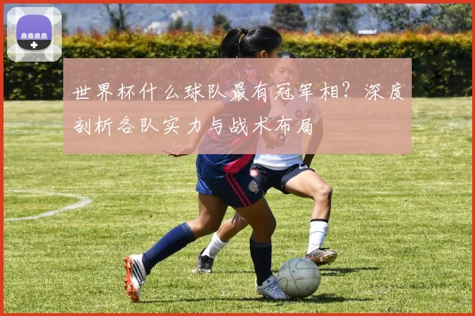 世界杯什么球队最有冠军相?深度剖析各队实力与战术布局