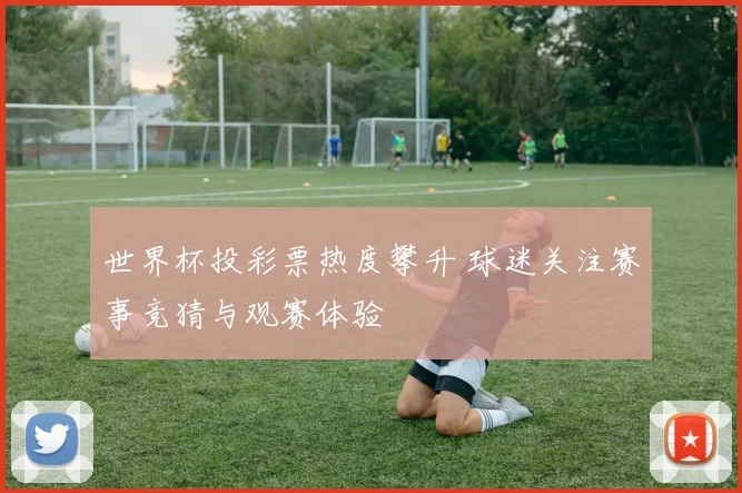 世界杯投彩票热度攀升 球迷关注赛事竞猜与观赛体验