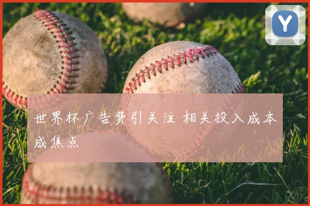 世界杯广告费引关注 相关投入成本成焦点