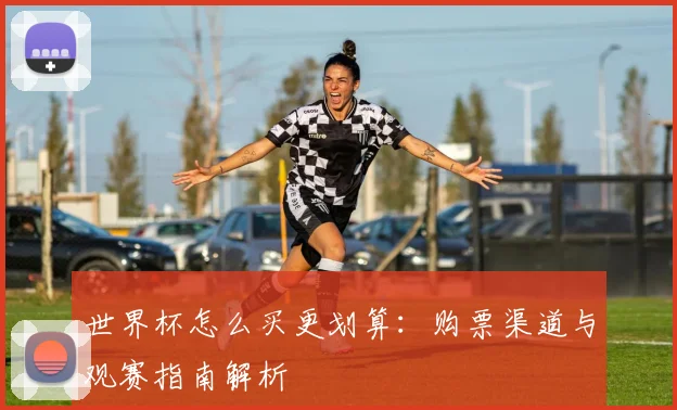 世界杯怎么买更划算：购票渠道与观赛指南解析