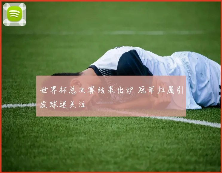 世界杯总决赛结果出炉 冠军归属引发球迷关注