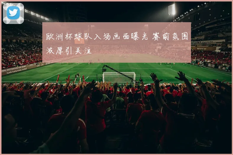 欧洲杯球队入场画面曝光 赛前氛围浓厚引关注