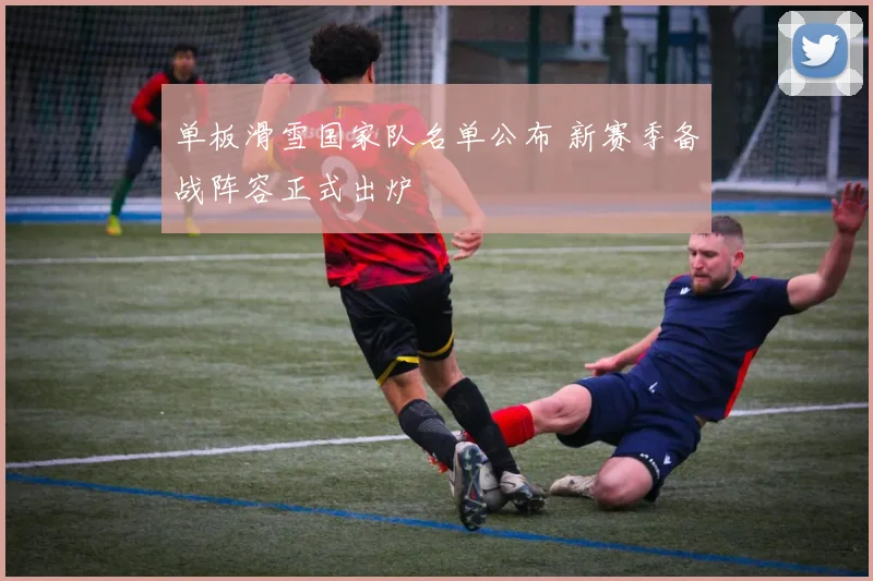 单板滑雪国家队名单公布 新赛季备战阵容正式出炉