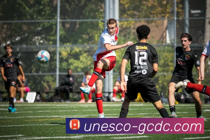 App Interface Preview